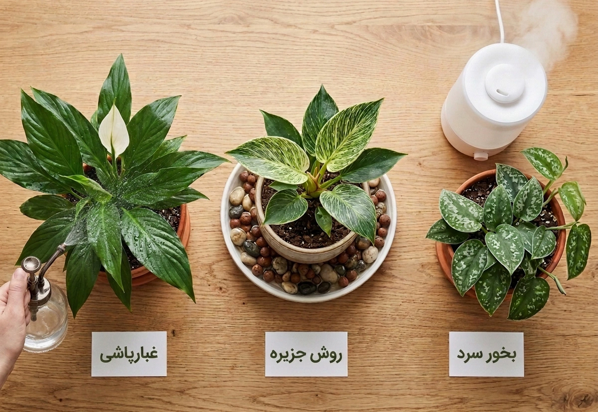 Houseplant humidity methods